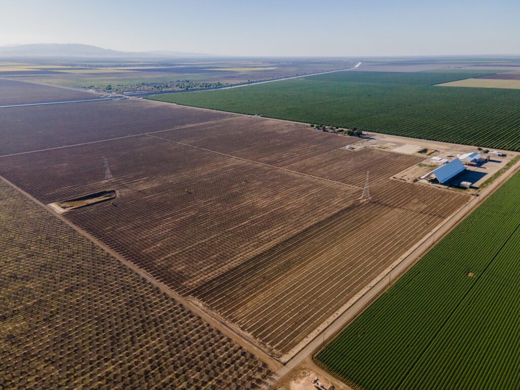Pistachio Land